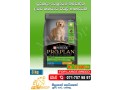 purina-pro-plan-dog-foods-small-0