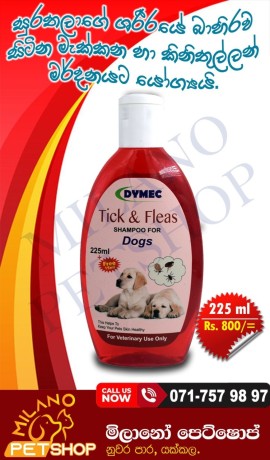 tick-fleas-shampoo-for-dogs-big-0