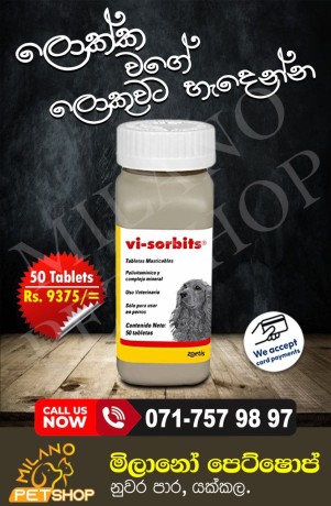 vi-sorbits-big-0