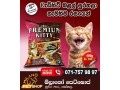 premium-cat-food-small-0