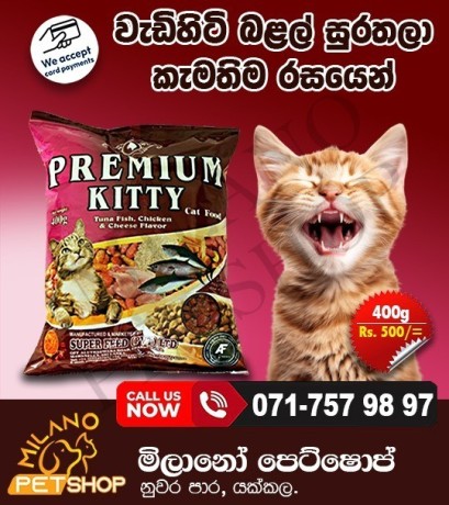 premium-cat-food-big-0