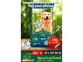 classic-pets-adult-dog-foods-small-0