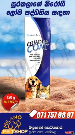 quadra-coat-big-0