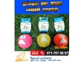 dog-toys-small-0
