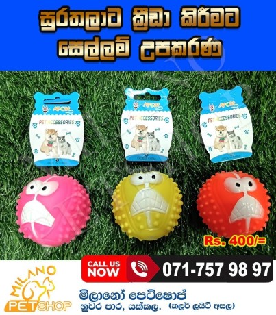 dog-toys-big-0