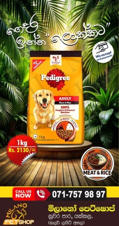 pedigree-meat-rice-adult-dog-foods-big-0