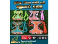 pet-harness-small-0