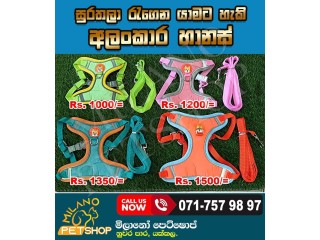 Pet Harness