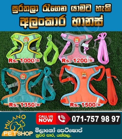 pet-harness-big-0
