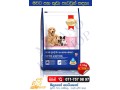 mither-baby-dog-foods-small-0