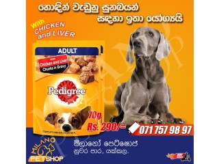 Pedigree Adult wet pack