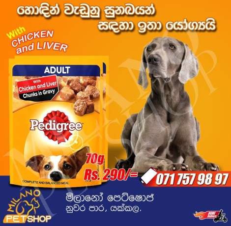 pedigree-adult-wet-pack-big-0