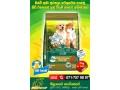 classic-pets-dog-foods-small-0