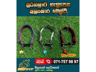 Dog Belt