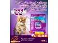 whiskas-kitten-foods-small-0
