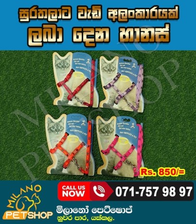 cat-harness-big-0