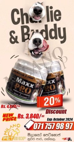 greenvet-maxx-pro-big-0