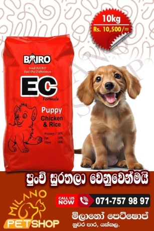 bairo-dog-food-puppy-big-0