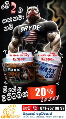 maxx-pro-maxx-cal-offer-big-0