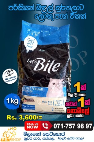 lets-bite-active-persian-adult-cat-dry-food-1kg-big-0