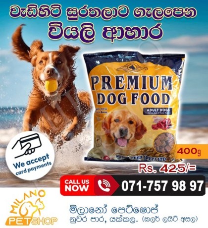 premium-dog-food-adult-big-0