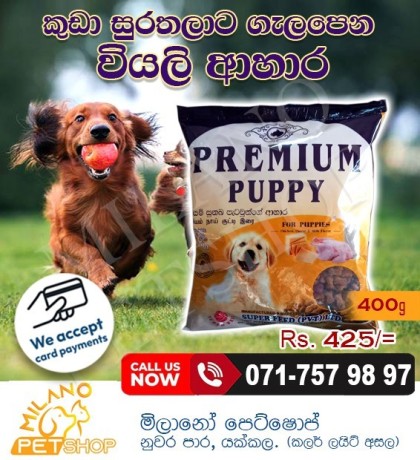 premium-dog-food-puppy-big-0
