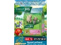 dog-n-joy-puppy-mother-small-0