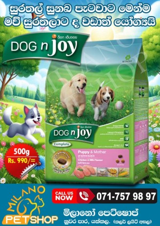 dog-n-joy-puppy-mother-big-0