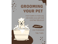dog-walking-and-grooming-services-small-0