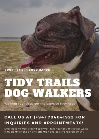 dog-walking-and-grooming-services-big-1