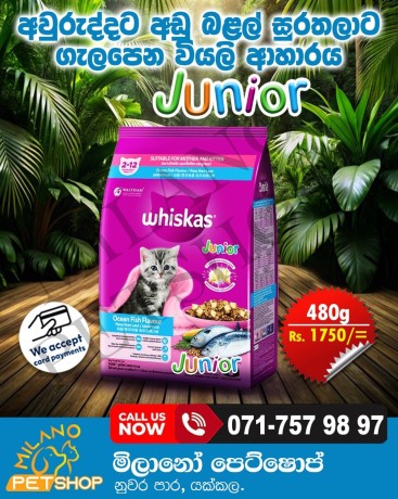 whiskas-kitten-food-big-0
