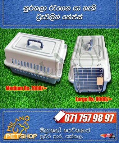 pet-cages-big-0